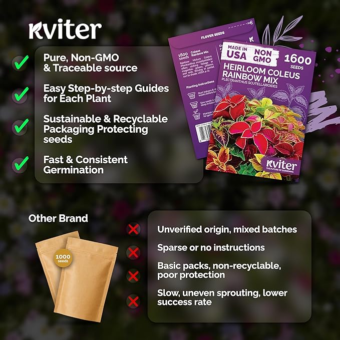 KVITER 1600 Rainbow Coleus Seeds for Planting Mix (Plectranthus scutellarioides) – Coleus Garden Seed Packets – Non-GMO & Heirloom Flower Seeds for Outdoor & Indoor Garden, Containers, Borders, Patios