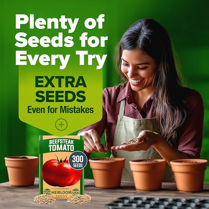 HOME GROWN Beefsteak Tomato Seeds 300+ Heirloom Non-GMO Seeds for Planting, High Germination, Indeterminate, Large Meaty Slicing Tomato, High Yield Summer Vegetable Garden (Solanum lycopersicum)
