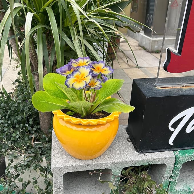 8in Self Watering Terracotta Planter - Yellow Ceramic Pot Maintenance Plant Seeder Planter for Indoor Plants African Violet