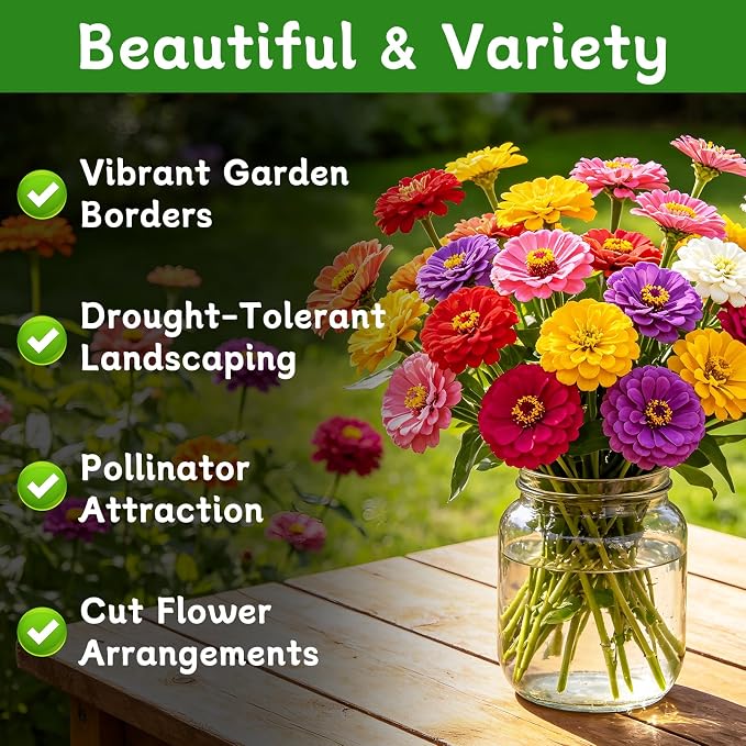 LUOJIBIE Zinnia Seeds for 2026, 15,000+ California Giant Zinnia Seeds Bulk, Double Dahlia Zinnia Mixed Color Seeds, Flower Seeds for Planting Outdoor Garden, Non-GMO Heirloom, Easy to Grow
