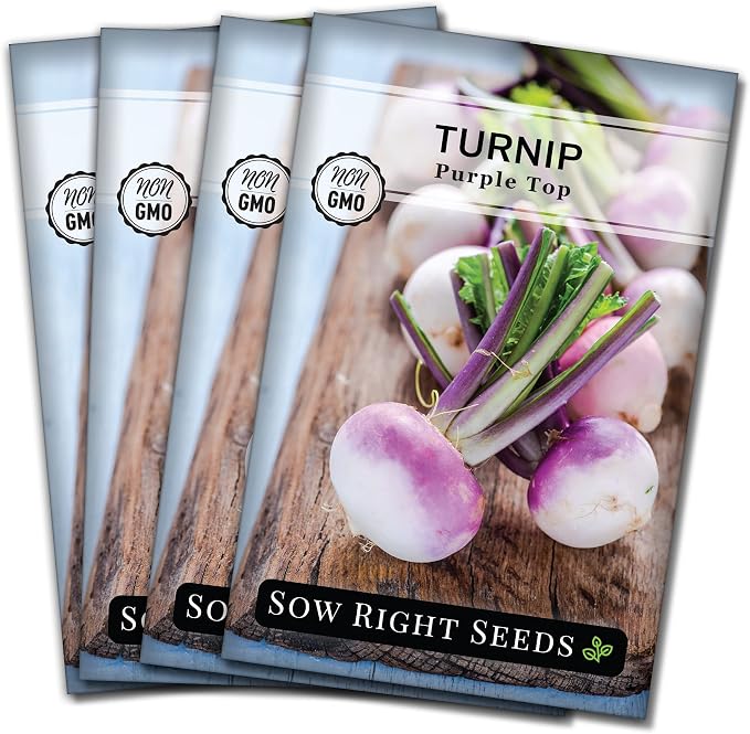 Sow Right Seeds - Purple Top White Globe Turnip Seeds for Planting - Non-GMO Heirloom Packet with Instructions to Plant a Home Vegetable Garden - Early Season, Cold Hardy - Classic Variety (4)