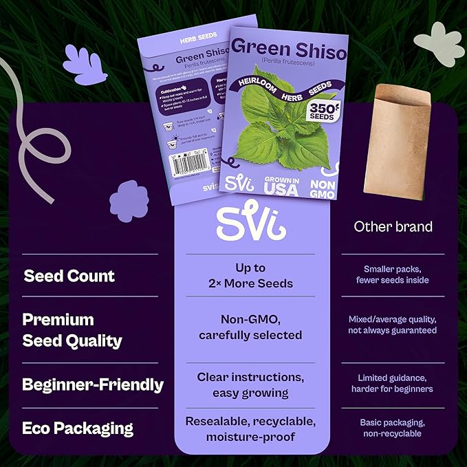 SVI 350 Green Shiso Seeds (Perilla frutescens) – Japanese Shiso Perilla Seed Packets, Aromatic Leaves – Japanese Heirloom Herb Seeds Outdoors & Indoor Herb Garden