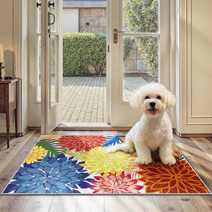 Arenarug 2x3 Colorful Washable Small Rug Tropical Botanical Modern Floral Indoor Chenille Door Mat Carpet Non Slip for Patio, Entry Way, Entrance, Porch, Rainbow