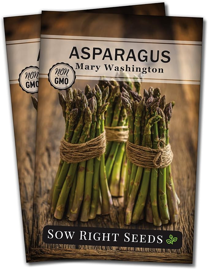 Sow Right Seeds - Mary Washington Asparagus Seed for Planting - Non-GMO Heirloom Packet with Instructions to Plant an Outdoor Home Vegetable Garden - Classic Perennial Stalks with Hearty Flavor (2)