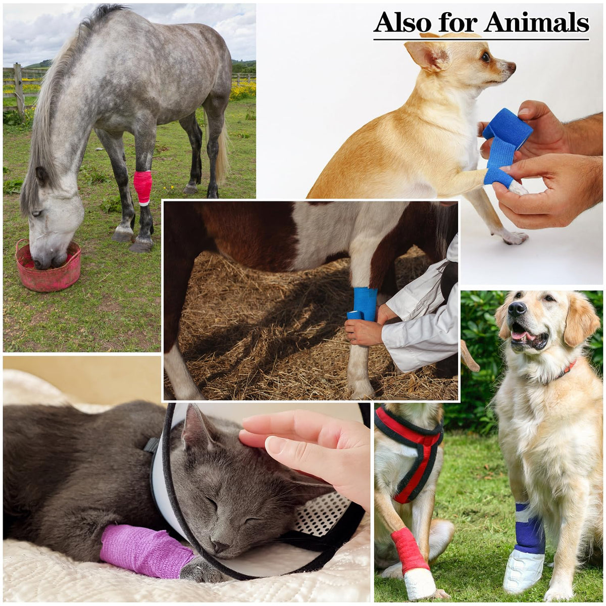 2" Self Adhesive Bandage Wraps, 6pcs Vet Wraps, 6 Colors, 5 Yard Self Adherent Wraps for Sports, Wrist, Ankle and Swelling
