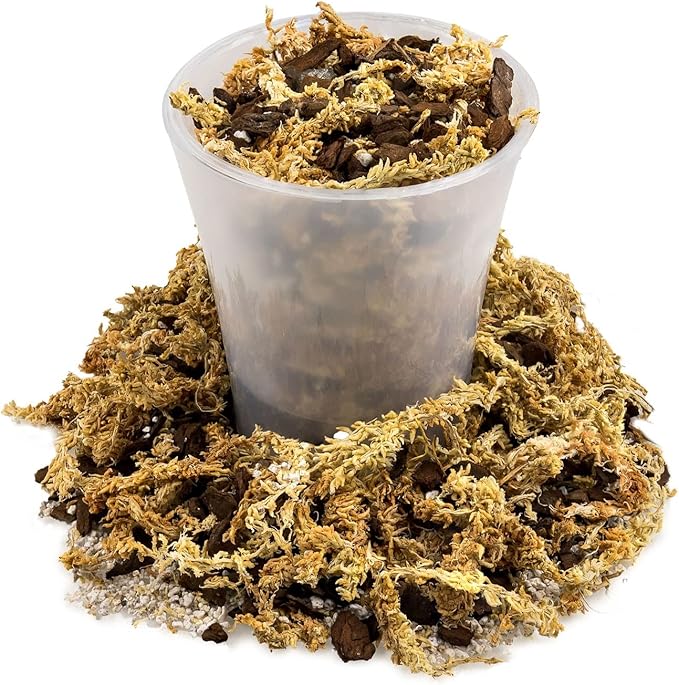 Premium Sphagnum Moss, Perlite and New Zealand Pine Bark Blend for Carnivorous Plants - 20 Quart - Perfect for Venus Fly Traps, Pitcher Plants, Sarracenia, Butterworts, and Sundews by GARDENERA