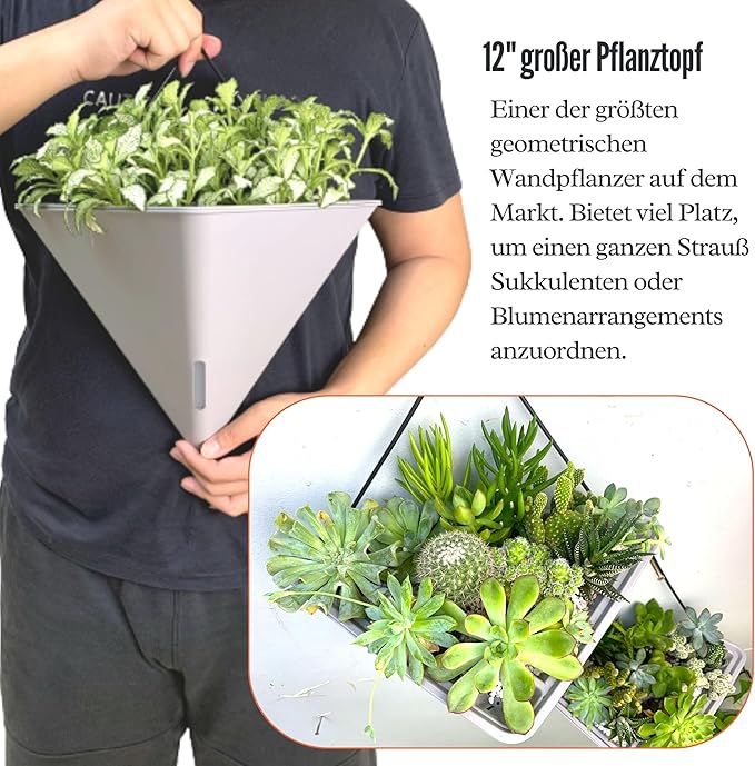 LaLaGreen Wall Planters for Indoor Plants
