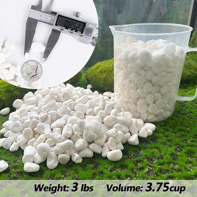 Decorative Garden Pebbles, 3 LB Natural White Rocks for Indoor & Outdoor Planters, Walkways, Vase Fillers & Landscaping Décor – Multiple Sizes & Colors