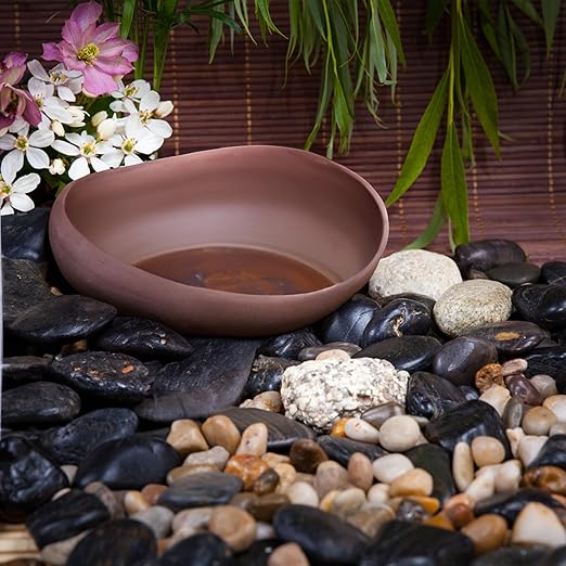 Pebbles for Plants 10lbs, 1-2Inch Mixed Color Natural River Rocks for Aquarium, High Polished Decorative Stones for Vase Filler Fish Tank Landscaping Garden