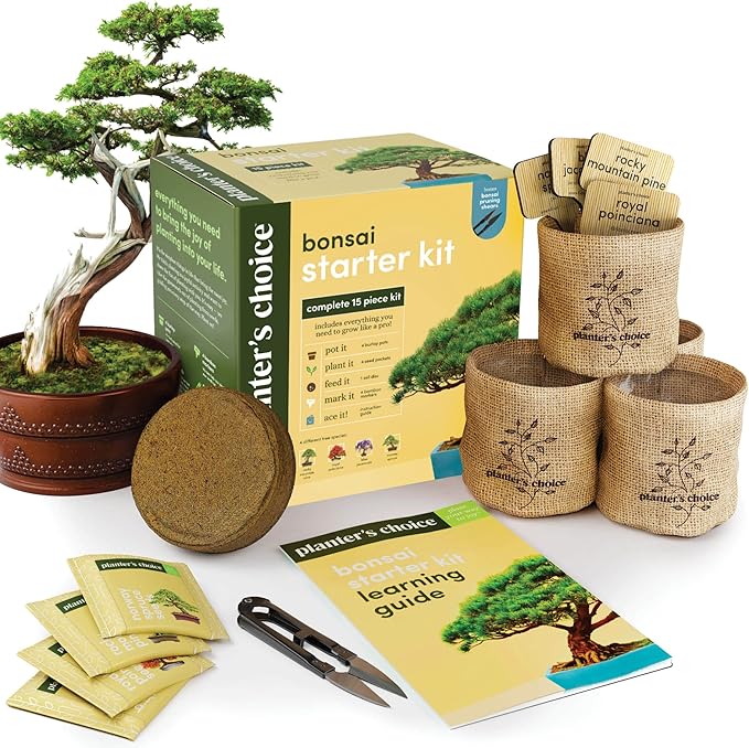 Planter's Choice Bonsai Tree Kit for Beginners & Plant Lovers - Grow Your Own Bonsai from Seed, 4 Species Starter Kit with Burlap Pots, Shears, Soil Disc, Markers & Guide, Gift for Mom or Grandma