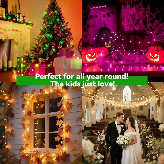 LitHome 200LED 66FT Led Fairy Lights Plug in, Color Changing Fairy Lights with Remote, 9 Modes Led String Lights Indoor Dimmable, Fairy String Lights for Girls Bedroom Dorm Classroom Christmas Decor