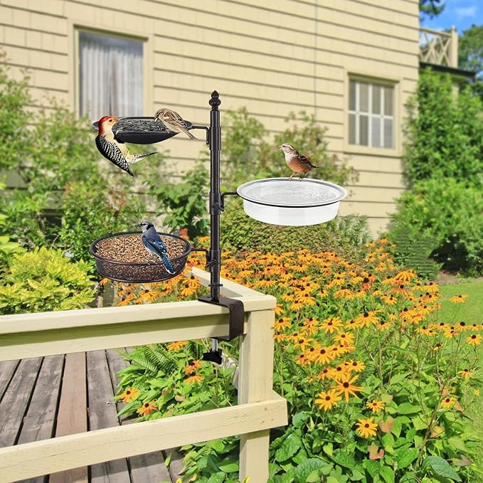 Balcony & Porch Deck Railing Bird Feeder - 3 Tray, Bath Spa, Great for Attracting Wild Bird