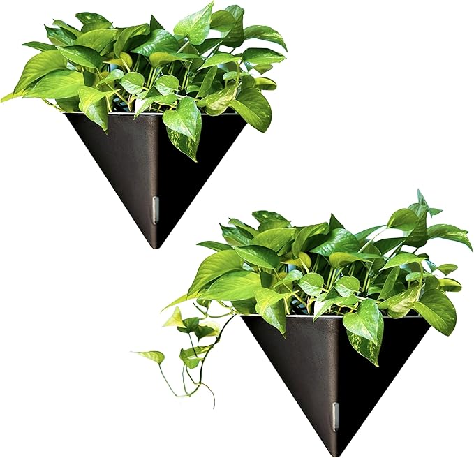 LaLaGreen Wall Planters for Indoor Plants