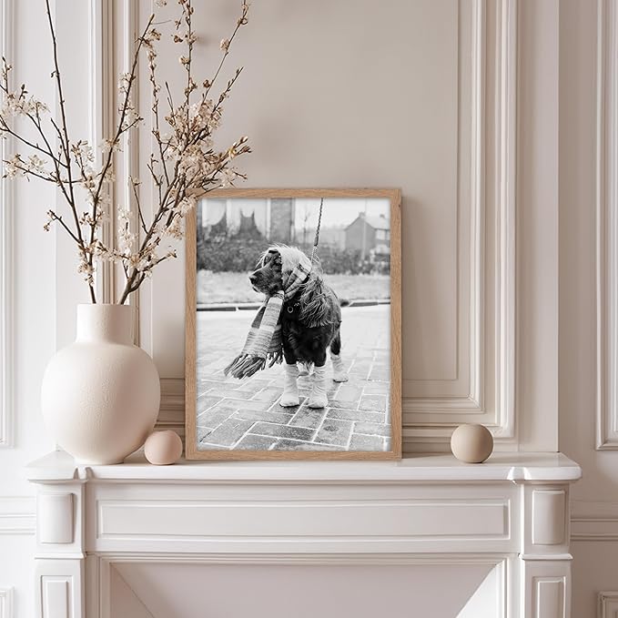 Poster Master Vintage Dog Dressed