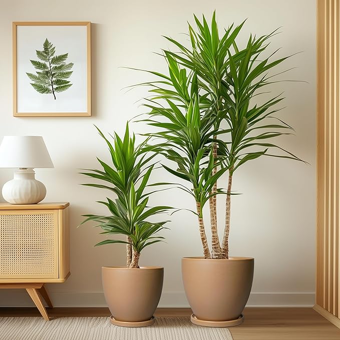 Ceramic Pots for Plants Set of 3-10+8+6 Inch Modern Round Planters with Drainage Holes and Plant Saucers, Flower Pots for Indoor Outdoor, Home Garden Room Decor, Plant Lover Gifts, Brown