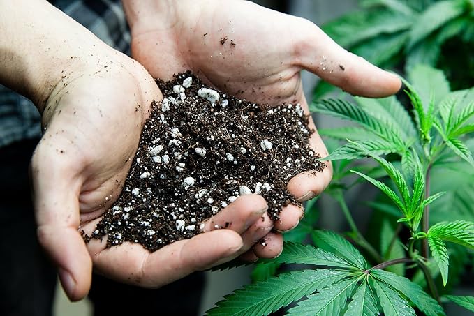Gardenera Organic Autoflower Plants Potting Soil Mix - Perfect Balance of Nutrients, Drainage, and Aeration for Thriving Autoflower Plants- 1 Quart