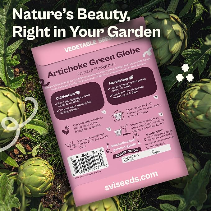SVI 50 Green Globe Artichoke Seeds (Cynara scolymus) – Globe Artichoke Seed Packets, Artichokes Garden Seed Perennial – Heirloom Vegetable Seeds for Outdoor Garden Raised Beds, Containers