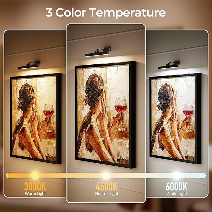Picture Lights for Wall, Battery Operated Picture Light 16in Gallery Light for