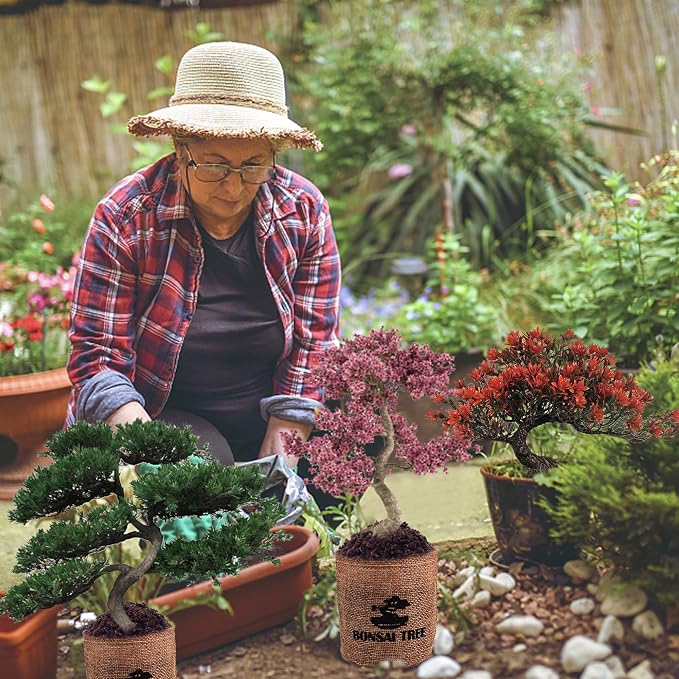Bonsai Garden Starter Kit, 4 Seeds Growing into Sakura, Ginkgo, Black Pine, Red Flame, Including Complete Gardening Tools & A Planter Box with Cover for Men Women Beginners