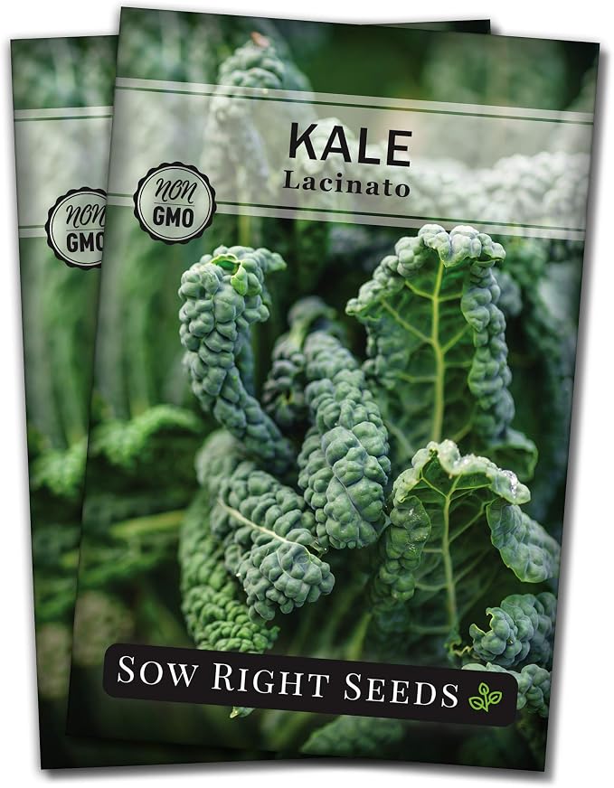 Sow Right Seeds - Lacinato Kale Seed for Planting - Non-GMO Heirloom Packet with Instructions to Plant a Home Vegetable Garden - Very Nutritious Superfood, Grow This Dinosaur Variety (2)