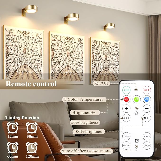 KELUOLY 2-Pack Picture Light Battery Operated Painting Lights