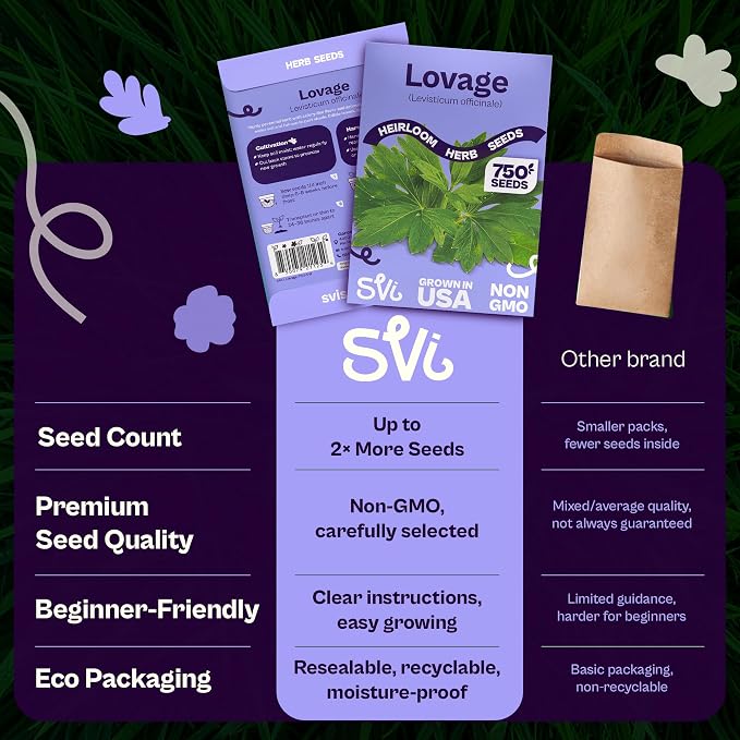 SVI 750 Lovage Seeds (Levisticum officinale) – Lovage Medicinal & Culinary Herb Seed Packets – Heirloom Perennial Herbs Seeds for Vegetable Garden Outdoor & Indoor Kitchen Herb Garden