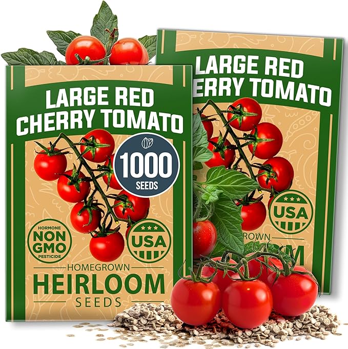 HOME GROWN Large Red Cherry Tomato Seeds 1000+ Heirloom Non-GMO Seeds for Planting, High Germination,Indeterminate, Sweet & Juicy Salad Tomatoes,Prolific Garden Crop,Sustainable (Solanum lycopersicum)
