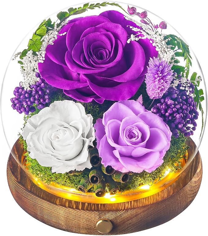 Forever Flowers for Delivery Prime, Preserved Rose in Glass Dome, Gifts for Women Birthday, Long-Lasting Flowers for Mom Wife Grandma Valentine's Day Mother's Day Christmas Anniversary, Purple