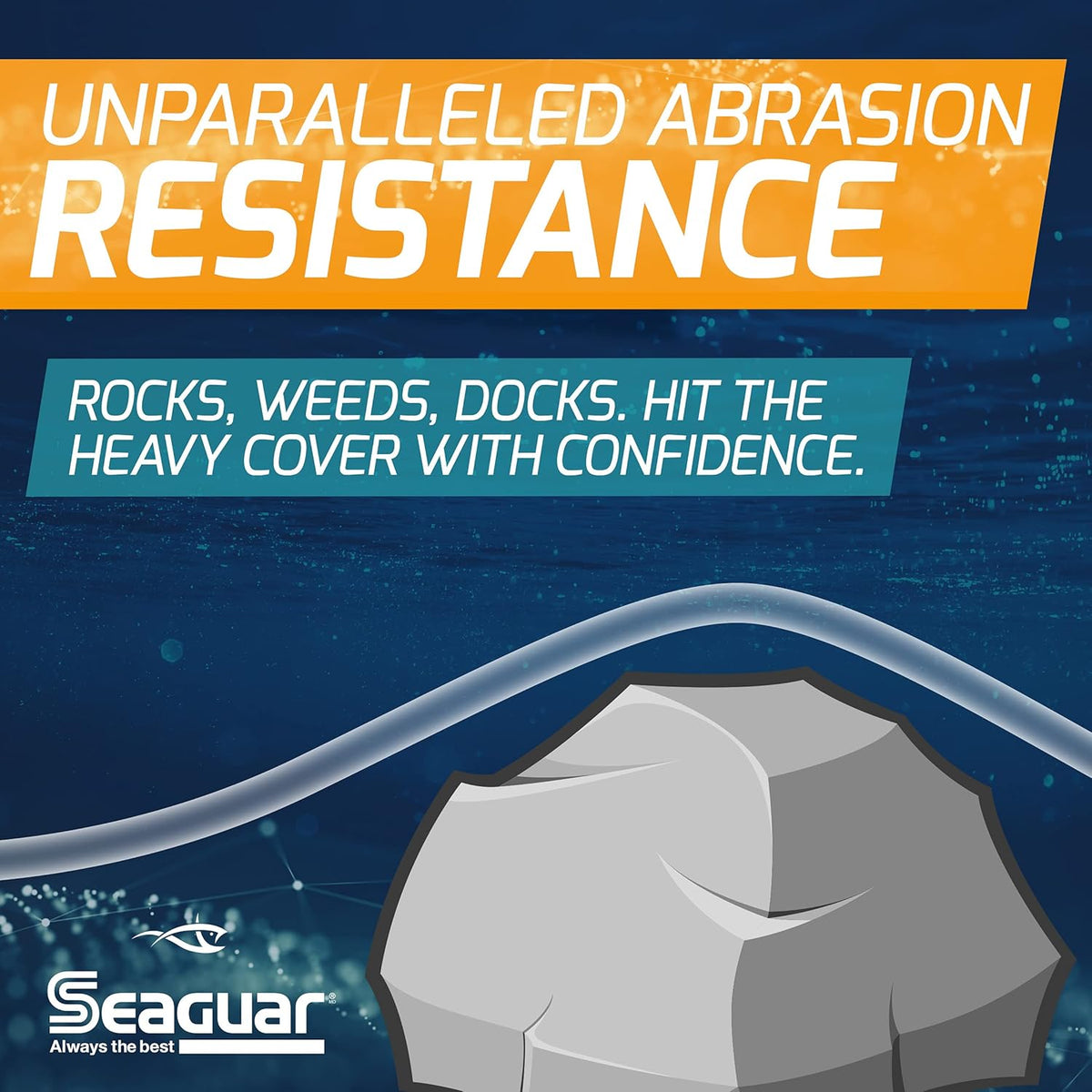 Seaguar Blue Label Fishing Leader Line - 100% Fluorocarbon, Clear, Ideal for Saltwater Fishing, Multiple Sizes