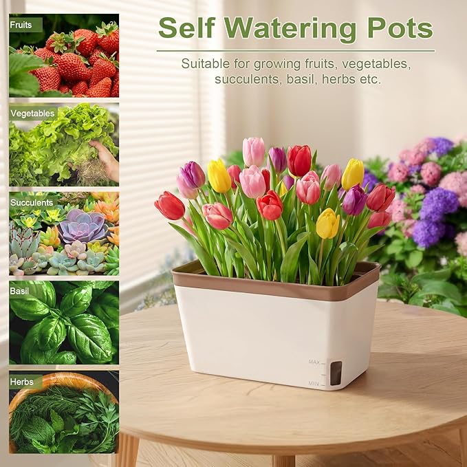OurWarm Windowsill Herb Planter Box Set of 6, 10.5 Inch Self Watering Pots for Indoor Plants, Flower Box with Water Level Window, Colorful Plastic Flower Pots & Planters for Herbs, Vegetables, Flowers