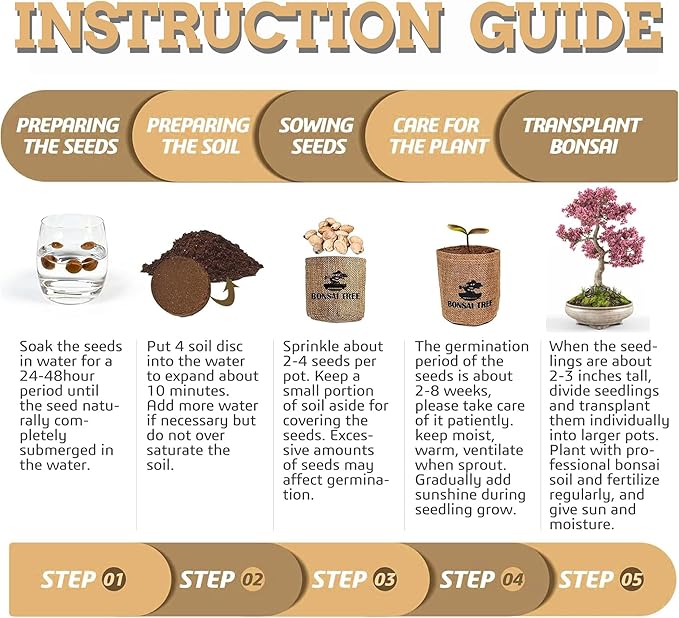 Indoor Bonsai Garden Starter Kit, 5 Seeds Growing into Red Maple, Wisteria, Black Pine, Judas Tree, Acacia, Including Complete Gardening Planters & A Planter Box for Women
