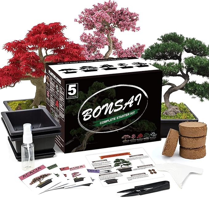 Meekear 5 Bonsai Tree Kit Complete Plant Growing Tools, Grow in Pot Indoor Bonsai Tree Starter Kit, Great Home Gardening Potted Plants DIY Gift for Adults
