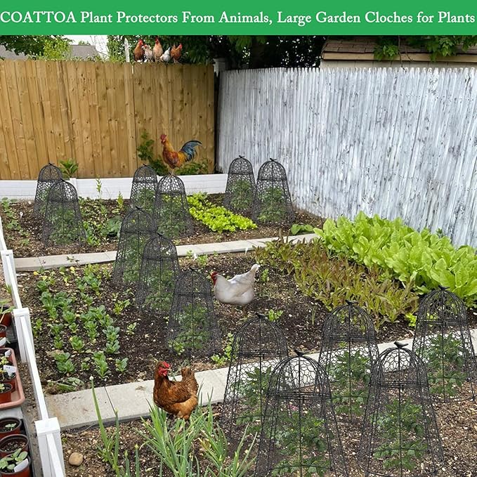COATTOA Plant Protector Chicken Wire Cloche 6 PCS, Plant Protectors from Animals, 18.7×12 Inch Large Garden Cloches for Plants, Sturdy 2-in-1 Cloche Dome for Plants, Plant Protectors for Easy Pruning