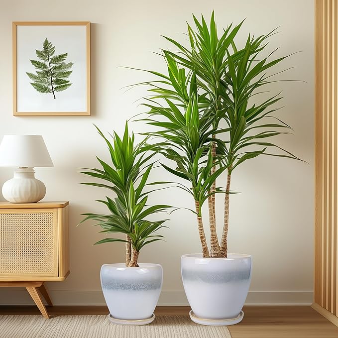 Ceramic Plant Pots - Modern Round 10 Inch 8 Inch 6 Inch Planters for Indoor Outdoor, Flower Pots with Drainage Holes and Plant Saucers, Home Decor, Plant Lover Gifts, Set of 3, White-Grey