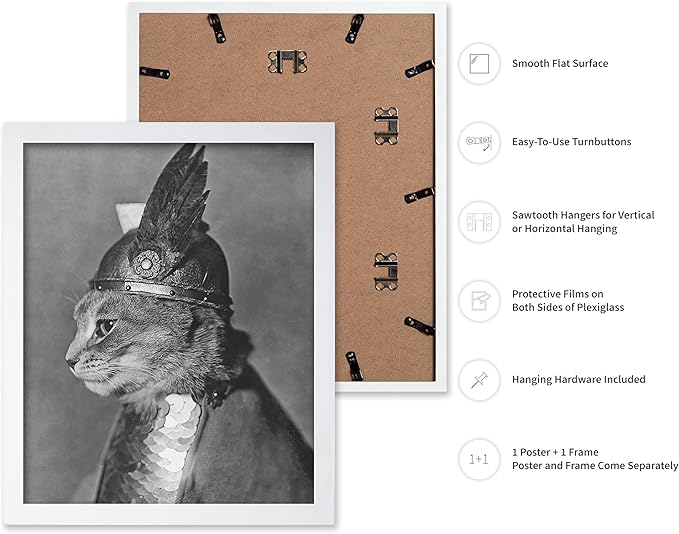 Poster Master Vintage Armored Cat