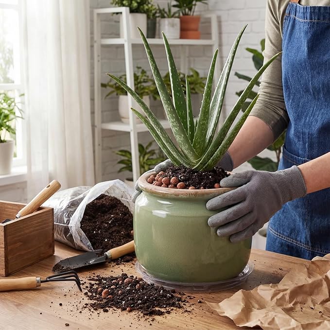 7.7" Large Ceramic Plant Pot Country Green Vintage Planter Crackle Glaze Decorative Farmhouse Flowers Pot with Drainage for Indoor Outdoor Plants Home Shelf Kitchen Office Patio Decor Gift