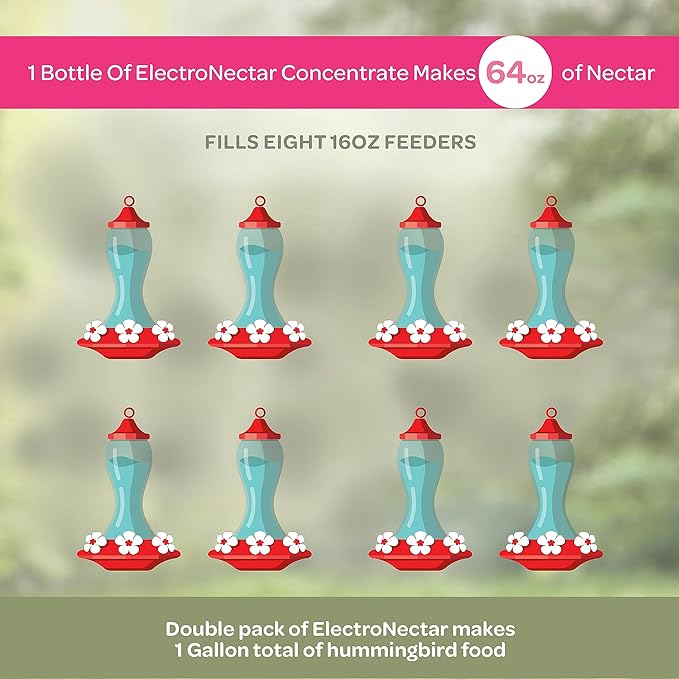 Kaytee Hummingbird ElectroNectar Wild Bird Food, 16 oz Concentrate 2 Pack, Makes 128 oz of ElectroNectar
