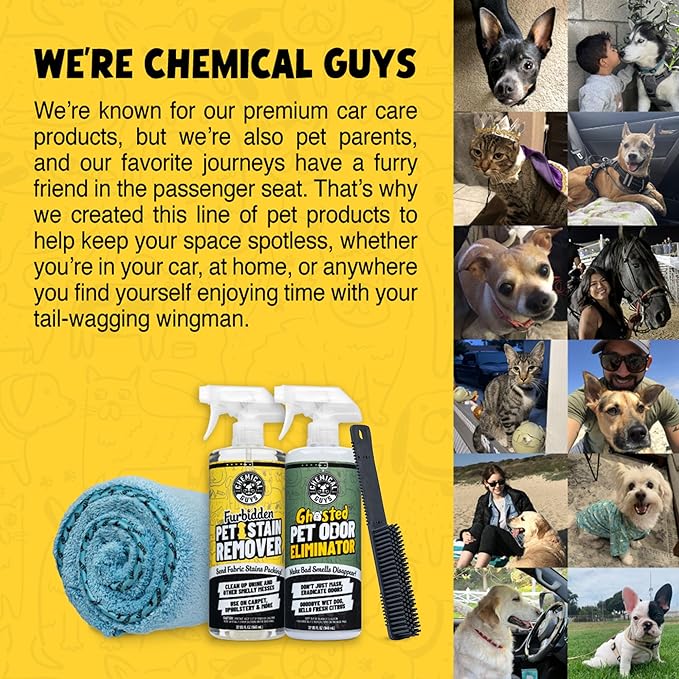 Chemical Guys Professional Rubber Pet Hair Removal Brush ?€? Multi Surface Detailing & Pet Hair Removal Tool for Cars, Trucks, SUVs, RVs & Home ?€? Removes Lint and Debris from Upholstery and Carpet
