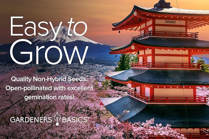 Gardeners Basics, Asian Vegetable Seeds for Planting 8 Packets Bok Choy, Michihili (Napa) Chinese Cabbage, Tatsoi, Onion, White Radish, Serrano, Eggplant for Your Non GMO Heirloom Vegetable Garden