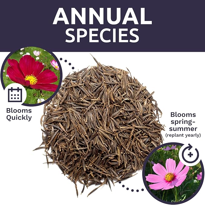 Bulk Cosmos Seeds Wildflower Mixture - 5 Pounds - Over 400,000 Seeds - Pink, Yellow, Orange, Red, Purple and White Mixed Species!