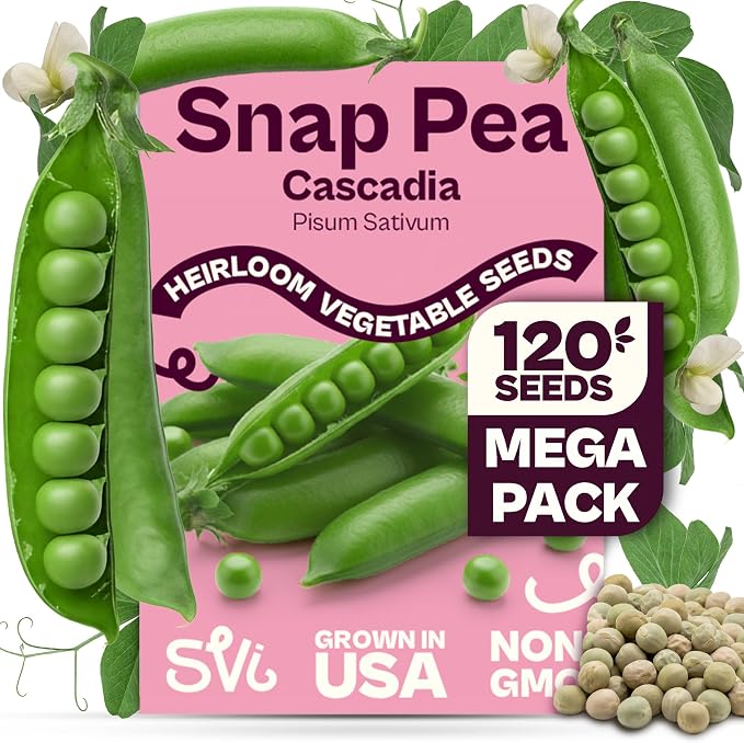 SVI 120 Cascadia Snap Pea Seeds (Pisum sativum) – Sugar Snap Peas, Sweet Peas Seed Packets, Pea Snaps Garden Seed Pack – Heirloom Vegetable Seeds Vegetable Garden, Raised Beds, Containers