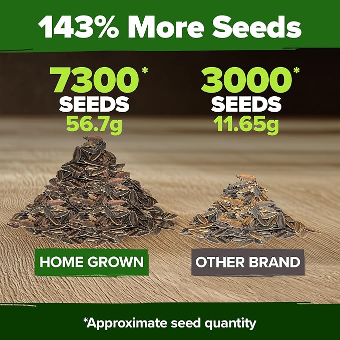 HOME GROWN Zinnia Seeds for 2026 - California Giant Mix - 7,300+ (2 oz) Plant Wildflower Blooms Bulk Seeds for Planting Flowers Outside - Pollinator Gardens (Zinnia elegans)