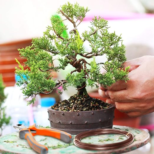 Mudder 5 Roll Aluminum Bonsai Training Wire Tree 160 Feet Total with Bonsai Wire Cutter Anodized Training for Holding Branches Small Trunks(1/1.5/2.0mm,Brown)