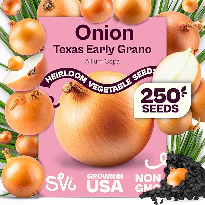 SVI 250 Texas Early Grano Onion Seeds (Allium cepa) - Short Day, Sweet & High Yield Variety - Heirloom Vegetable Seeds for Outdoors & Indoor Garden