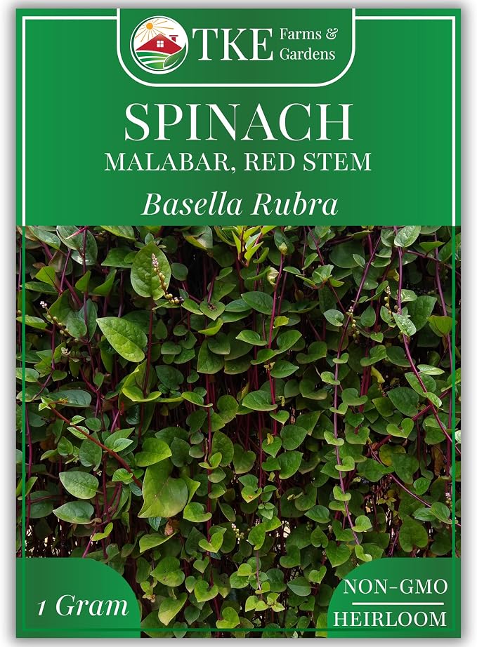 TKE Farms & Gardens - Red Malabar Spinach Seeds for Planting, Heirloom Non-GMO Climbing Spinach, Nutritious Asian Vegetable Seeds, 30 Seeds, Basella rubra, 1 Packet