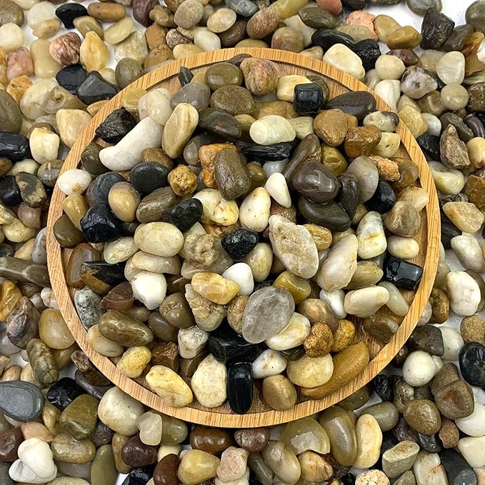 FANTIAN 5 lbs Gravel for Fish Tank, 2/5 Inch Mixed Color River Rocks for Aquarium, Vase Fillers, Cactus Bonsai, Plant Soil Cover and Outdoor Garden Landscaping Rocks