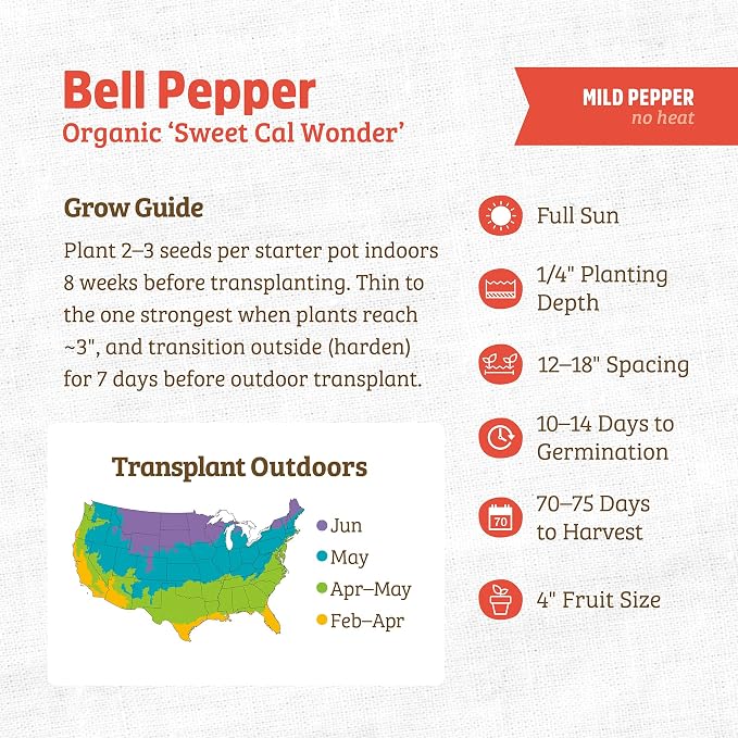 Back to The Roots 100% Organic Seed Packet Bell Pepper 'Sweet Cal Wonder'