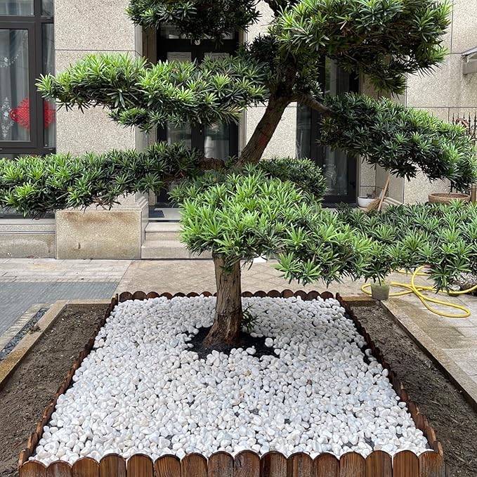 FANTIAN 10 lbs White River Rocks for Garden, 0.5-1 Inch Pebbles for Indoor Plants, Decorative Stones for Landscaping, Succulent, Vases, Aquariums and Zen Garden
