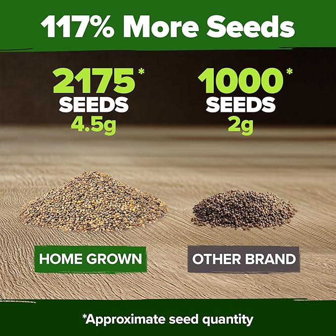 HOME GROWN Arugula Roquette Seeds 2,175+ Heirloom Non-GMO Seeds for Planting, High Germination, Fast Growing Peppery Salad Greens, Indoor Outdoor Hydroponic Garden, Microgreens (Eruca vesicaria)