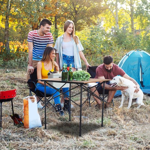 WILDROOTS Folding Camping Wood Grain Brown Table with Carry Bag, Lightweight Aluminum Table for Outdoor, Camping, Picnic, Cooking, Backyards, BBQ (L)